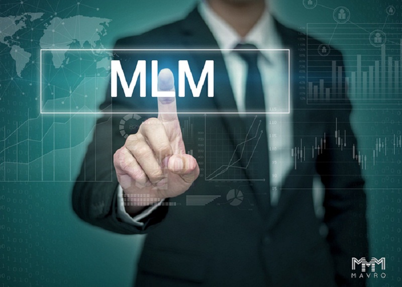 Forex Web Developer & MLM Website Experts  Swismax Solutions
