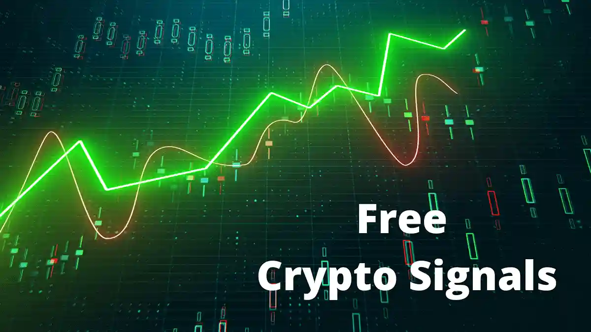 Professional Forex Web Developer â€“ Swismax Solutions